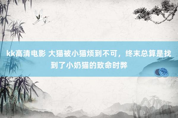 kk高清电影 大猫被小猫烦到不可，终末总算是找到了小奶猫的致命时弊