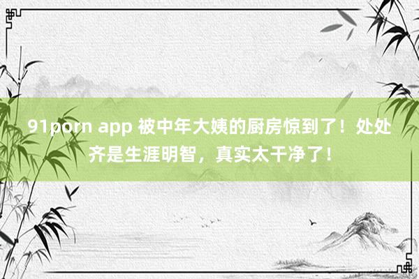 91porn app 被中年大姨的厨房惊到了！处处齐是生涯明智，真实太干净了！