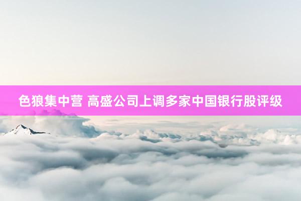 色狼集中营 高盛公司上调多家中国银行股评级
