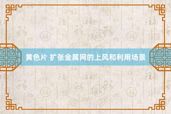 黄色片 扩张金属网的上风和利用场景
