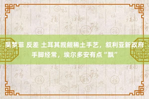 吴梦菲 反差 土耳其觊觎稀土手艺，叙利亚新政府手脚经常，埃尔多安有点“飘”