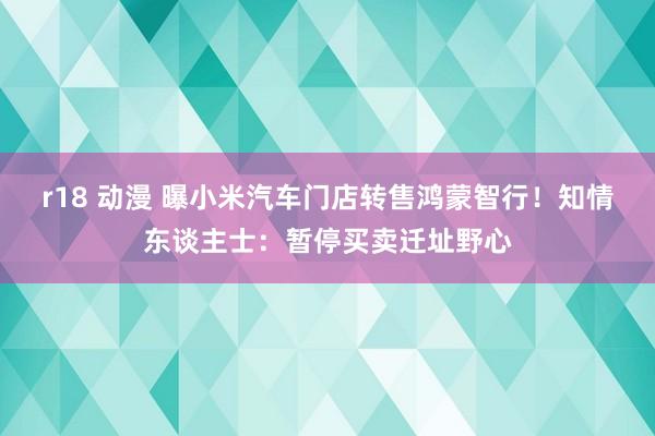 r18 动漫 曝小米汽车门店转售鸿蒙智行！知情东谈主士：暂停买卖迁址野心