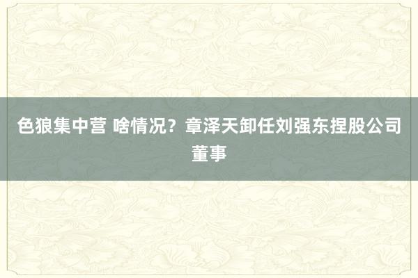色狼集中营 啥情况？章泽天卸任刘强东捏股公司董事
