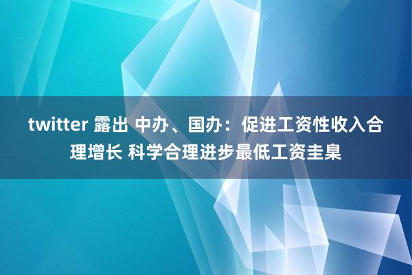 twitter 露出 中办、国办：促进工资性收入合理增长 科学合理进步最低工资圭臬