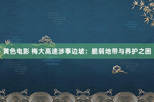 黄色电影 梅大高速涉事边坡：脆弱地带与养护之困