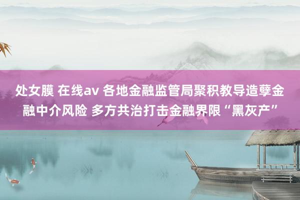 处女膜 在线av 各地金融监管局聚积教导造孽金融中介风险 多方共治打击金融界限“黑灰产”