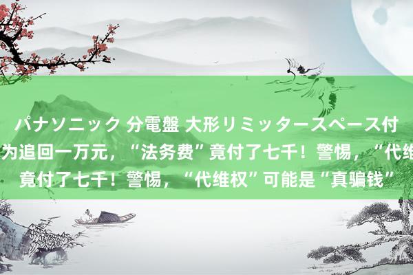 パナソニック 分電盤 大形リミッタースペース付 露出・半埋込両用形 为追回一万元，“法务费”竟付了七千！警惕，“代维权”可能是“真骗钱”