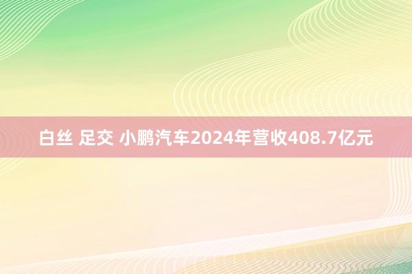 白丝 足交 小鹏汽车2024年营收408.7亿元