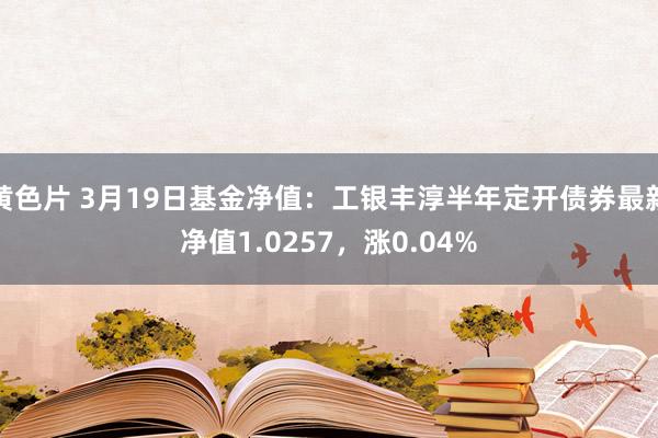 黄色片 3月19日基金净值：工银丰淳半年定开债券最新净值1.0257，涨0.04%