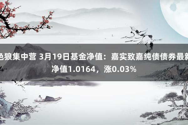 色狼集中营 3月19日基金净值：嘉实致嘉纯债债券最新净值1.0164，涨0.03%