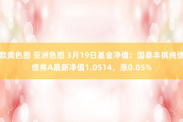 欧美色图 亚洲色图 3月19日基金净值：国泰丰祺纯债债券A最新净值1.0514，涨0.05%