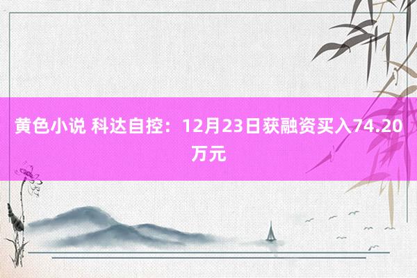 黄色小说 科达自控：12月23日获融资买入74.20万元