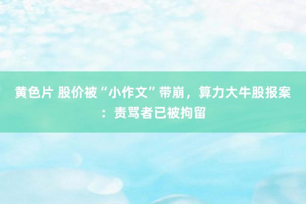 黄色片 股价被“小作文”带崩，算力大牛股报案：责骂者已被拘留