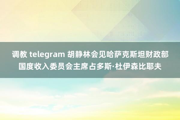 调教 telegram 胡静林会见哈萨克斯坦财政部国度收入委员会主席占多斯·杜伊森比耶夫