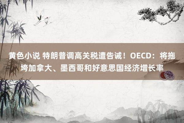 黄色小说 特朗普调高关税遭告诫！OECD：将拖垮加拿大、墨西哥和好意思国经济增长率