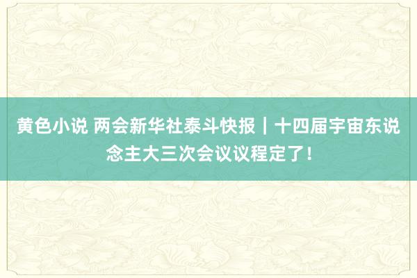 黄色小说 两会新华社泰斗快报｜十四届宇宙东说念主大三次会议议程定了！