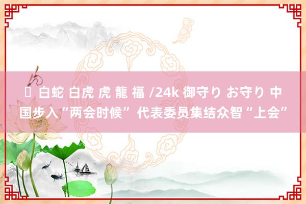 ✨白蛇 白虎 虎 龍 福 /24k 御守り お守り 中国步入“两会时候” 代表委员集结众智“上会”