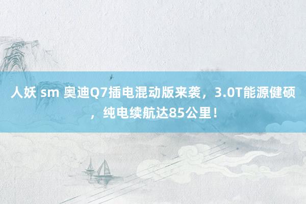 人妖 sm 奥迪Q7插电混动版来袭，3.0T能源健硕，纯电续航达85公里！
