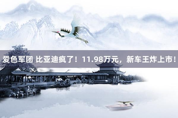 爱色军团 比亚迪疯了！11.98万元，新车王炸上市！