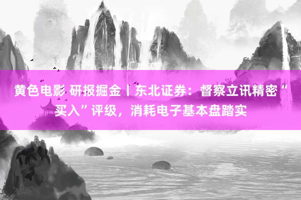 黄色电影 研报掘金丨东北证券：督察立讯精密“买入”评级，消耗电子基本盘踏实