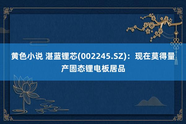 黄色小说 湛蓝锂芯(002245.SZ)：现在莫得量产固态锂电板居品