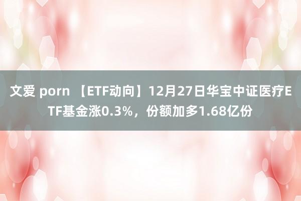 文爱 porn 【ETF动向】12月27日华宝中证医疗ETF基金涨0.3%，份额加多1.68亿份