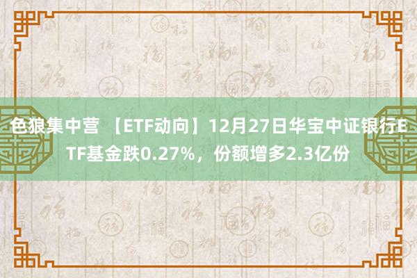 色狼集中营 【ETF动向】12月27日华宝中证银行ETF基金跌0.27%，份额增多2.3亿份