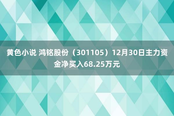 黄色小说 鸿铭股份（301105）12月30日主力资金净买入68.25万元
