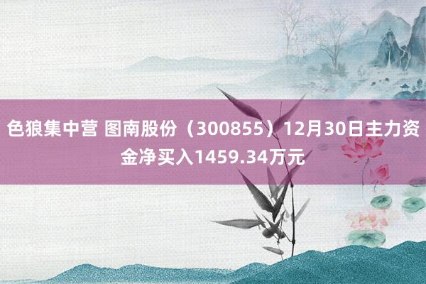 色狼集中营 图南股份（300855）12月30日主力资金净买入1459.34万元