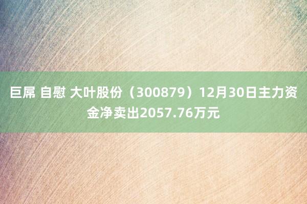 巨屌 自慰 大叶股份（300879）12月30日主力资金净卖出2057.76万元