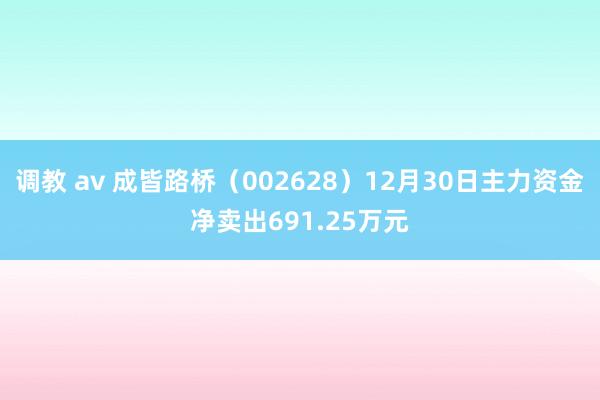 调教 av 成皆路桥（002628）12月30日主力资金净卖出691.25万元