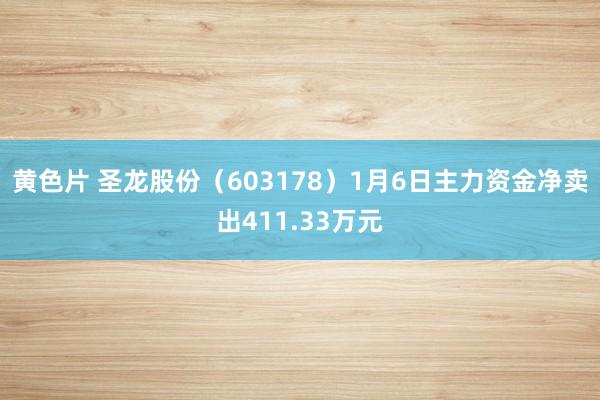 黄色片 圣龙股份（603178）1月6日主力资金净卖出411.33万元