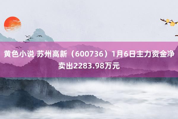 黄色小说 苏州高新（600736）1月6日主力资金净卖出2283.98万元