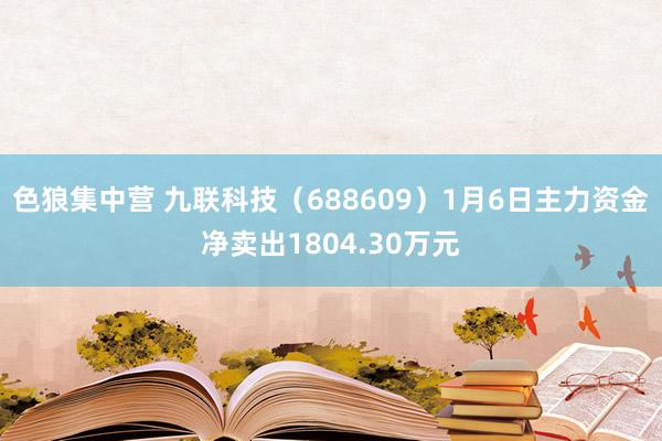 色狼集中营 九联科技（688609）1月6日主力资金净卖出1804.30万元