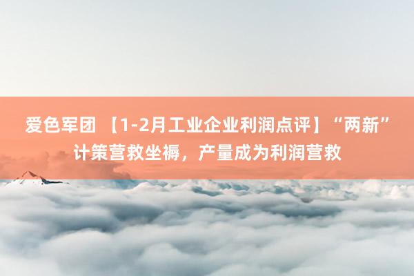 爱色军团 【1-2月工业企业利润点评】“两新”计策营救坐褥，产量成为利润营救