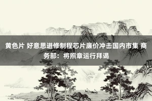 黄色片 好意思进修制程芯片廉价冲击国内市集 商务部：将照章运行拜谒