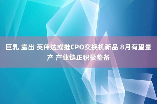 巨乳 露出 英伟达或推CPO交换机新品 8月有望量产 产业链正积极整备