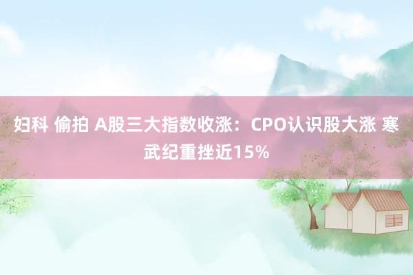妇科 偷拍 A股三大指数收涨：CPO认识股大涨 寒武纪重挫近15%
