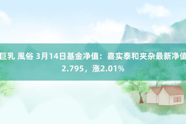 巨乳 風俗 3月14日基金净值：嘉实泰和夹杂最新净值2.795，涨2.01%