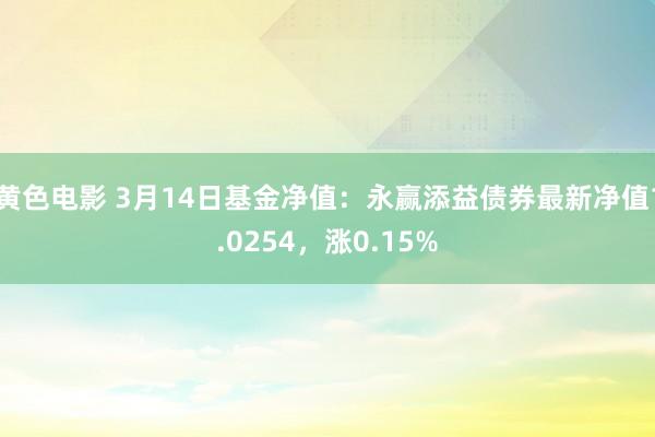 黄色电影 3月14日基金净值：永赢添益债券最新净值1.0254，涨0.15%