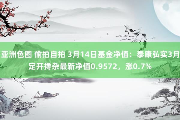 亚洲色图 偷拍自拍 3月14日基金净值：泰康弘实3月定开搀杂最新净值0.9572，涨0.7%