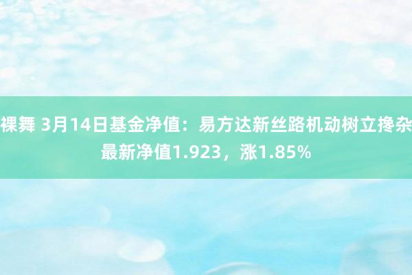 裸舞 3月14日基金净值：易方达新丝路机动树立搀杂最新净值1.923，涨1.85%