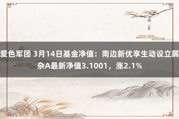爱色军团 3月14日基金净值：南边新优享生动设立羼杂A最新净值3.1001，涨2.1%
