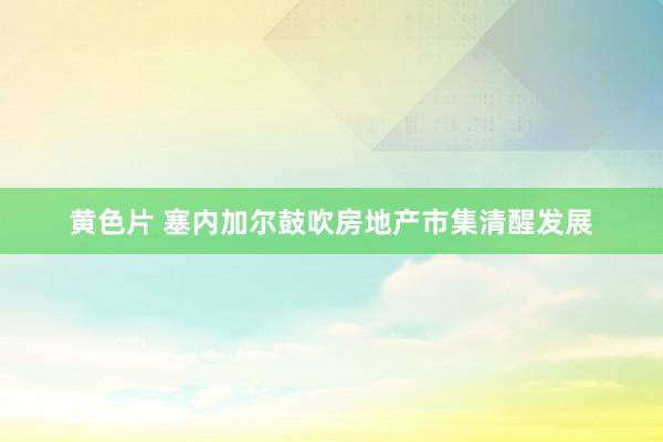 黄色片 塞内加尔鼓吹房地产市集清醒发展