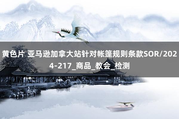 黄色片 亚马逊加拿大站针对帐篷规则条款SOR/2024-217_商品_教会_检测