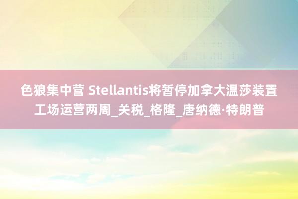色狼集中营 Stellantis将暂停加拿大温莎装置工场运营两周_关税_格隆_唐纳德·特朗普