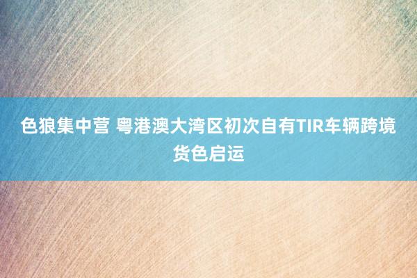色狼集中营 粤港澳大湾区初次自有TIR车辆跨境货色启运