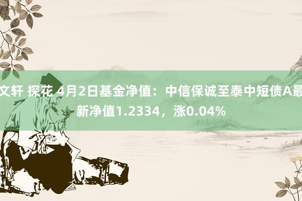文轩 探花 4月2日基金净值：中信保诚至泰中短债A最新净值1.2334，涨0.04%