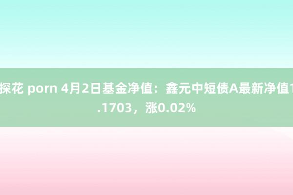 探花 porn 4月2日基金净值：鑫元中短债A最新净值1.1703，涨0.02%