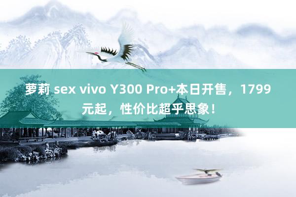 萝莉 sex vivo Y300 Pro+本日开售，1799元起，性价比超乎思象！